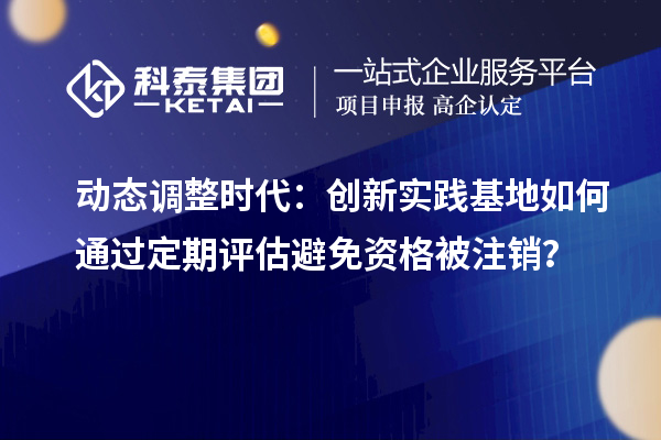 动态调整时代:创新实践基地如何通过定期评估避免资格被注销?