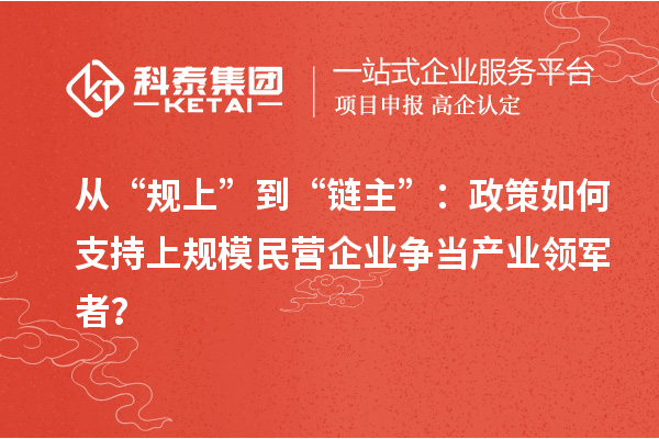 从“规上”到“链主”:政策如何支持上规模民营企业争当产业领军者?