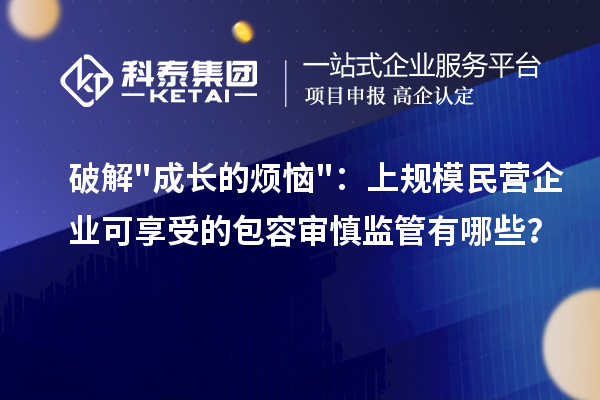 破解成长的烦恼:上规模民营企业可享受的包容审慎监管有哪些?