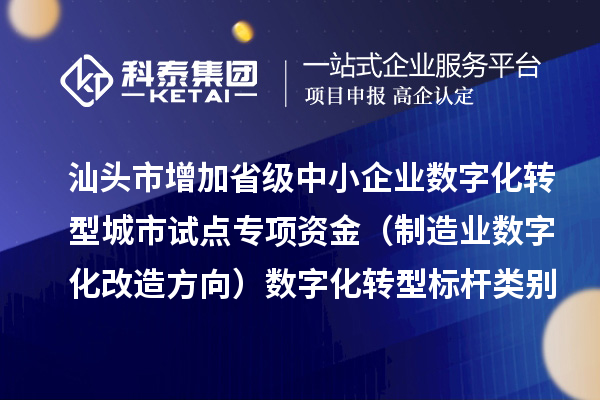 汕头市增加省级中小企业数字化转型城市试点专项资金(制造业数字化改造方向)数字化转型标杆类别项目数量