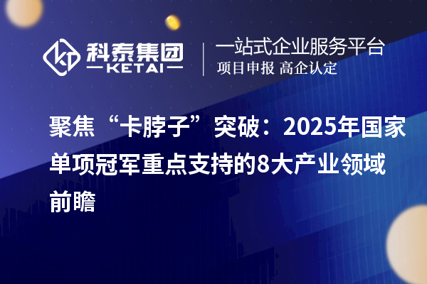 聚焦“卡脖子”突破:2025年国家单项冠军重点支持的8大产业领域前瞻
