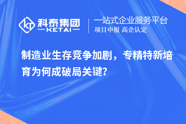 制造业生存竞争加剧,专精特新培育为何成破局关键?