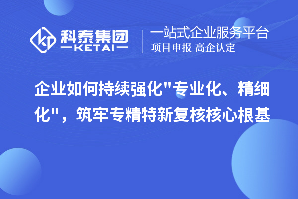 企业如何持续强化专业化、精细化,筑牢专精特新复核核心根基