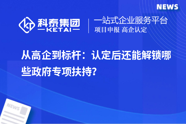从高企到标杆:认定后还能解锁哪些政府专项扶持?