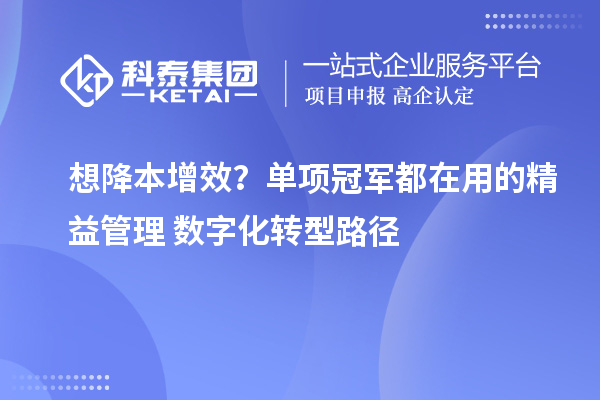 想降本增效?单项冠军都在用的精益管理+数字化转型路径