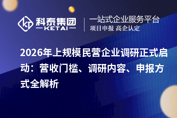 2026年上规模民营企业调研正式启动:营收门槛、调研内容、申报方式全解析