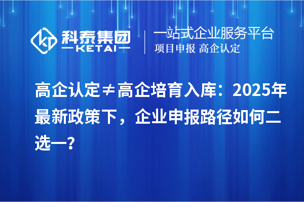高企认定≠高企培育入库:2025年最新政策下,企业申报路径如何二选一?