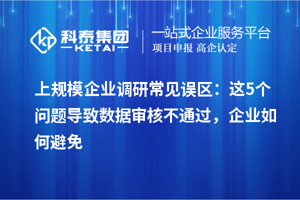上规模企业调研常见误区:这5个问题导致数据审核不通过,企业如何避免