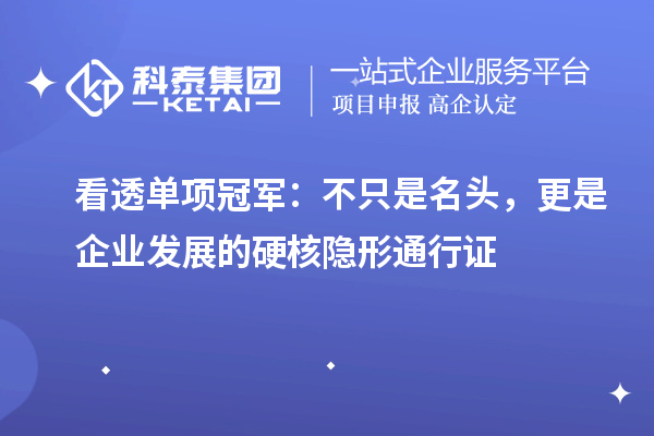 看透单项冠军:不只是名头,更是企业发展的硬核隐形通行证