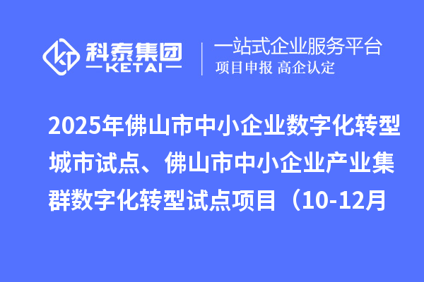 2025年佛山市中小企业数字化转型城市试点、佛山市中小企业产业集群数字化转型试点项目(10-12月批次)评审结果的公示(第三次)