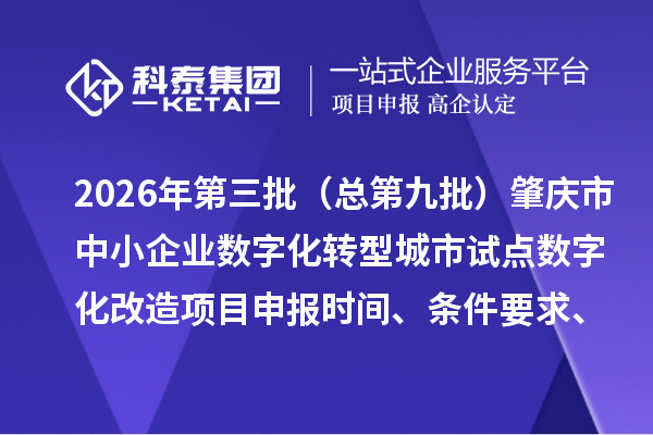 2026年第三批(总第九批)肇庆市中小企业数字化转型城市试点数字化改造项目申报时间、条件要求、补助奖励