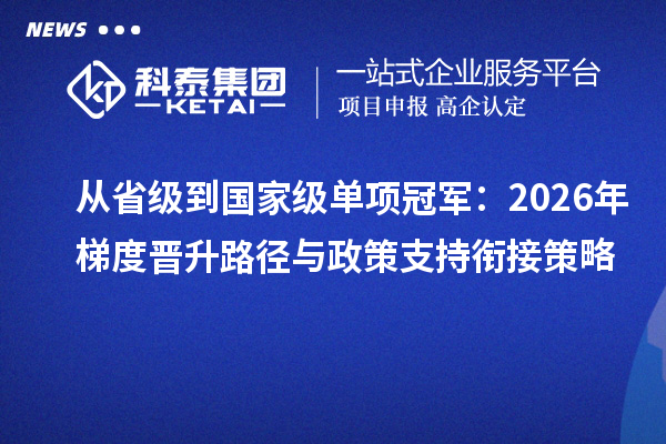 从省级到国家级单项冠军:2026年梯度晋升路径与政策支持衔接策略