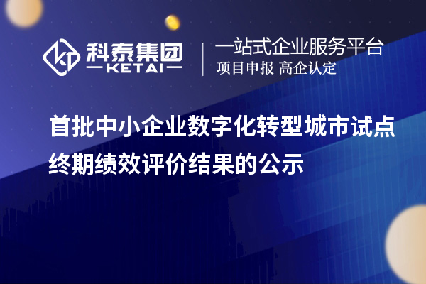 首批中小企业数字化转型城市试点终期绩效评价结果的公示
