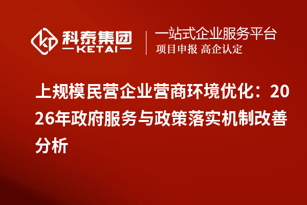 上规模民营企业营商环境优化:2026年政府服务与政策落实机制改善分析