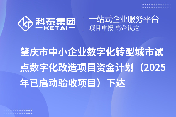肇庆市中小企业数字化转型城市试点数字化改造项目资金计划(2025年已启动验收项目)下达