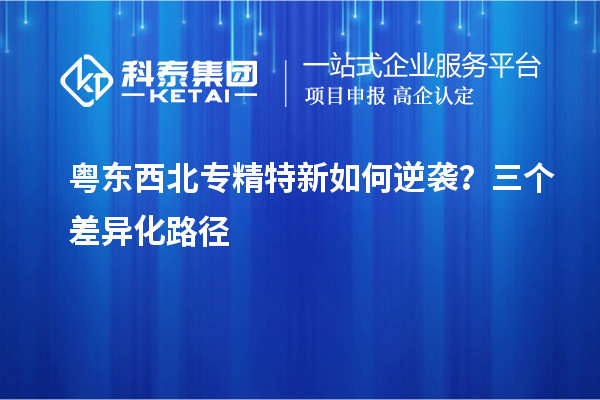 粤东西北专精特新如何逆袭?三个差异化路径