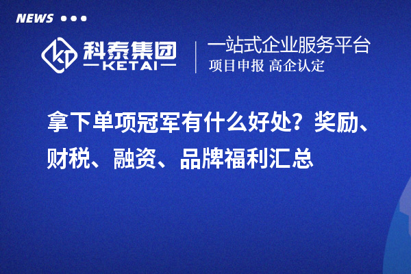 拿下单项冠军有什么好处?奖励、财税、融资、品牌福利汇总