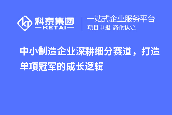 中小制造企业深耕细分赛道,打造单项冠军的成长逻辑
