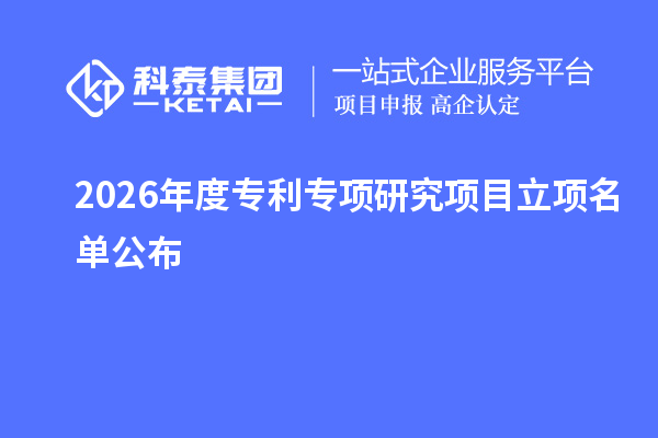 2026年度专利专项研究项目立项名单公布