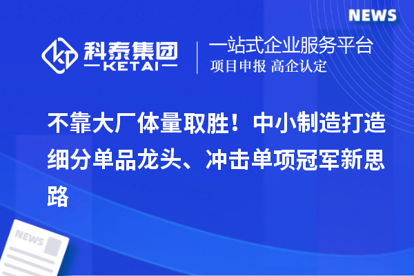 不靠大厂体量取胜!中小制造打造细分单品龙头、冲击单项冠军新思路