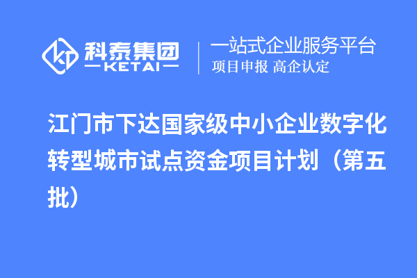 江门市下达国家级中小企业数字化转型城市试点资金项目计划(第五批)