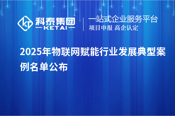 2025年物联网赋能行业发展典型案例名单公布