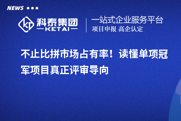 不止比拼市场占有率!读懂单项冠军项目真正评审导向