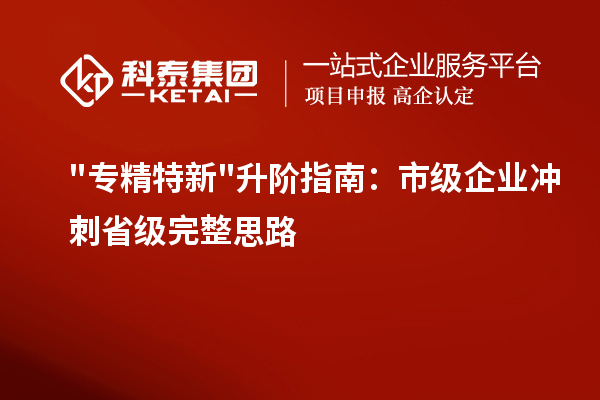 专精特新升阶指南:市级企业冲刺省级完整思路