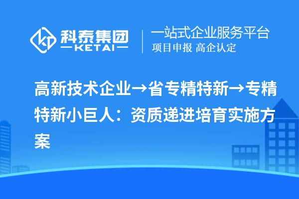 高新技术企业→省专精特新→专精特新小巨人:资质递进培育实施方案