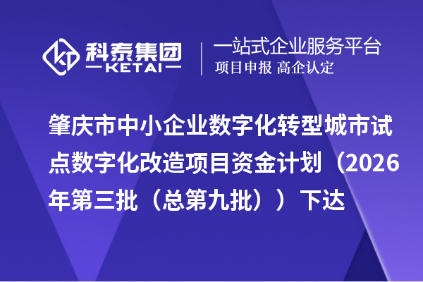 肇庆市中小企业数字化转型城市试点数字化改造项目资金计划(2026年第三批(总第九批))下达
