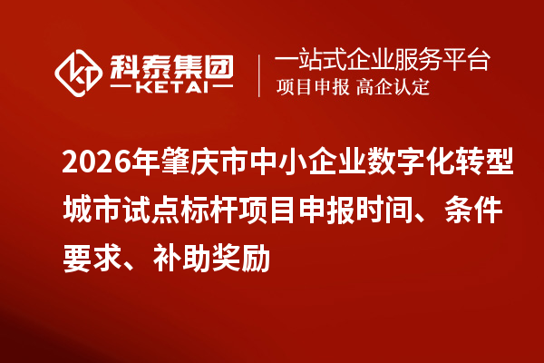 2026年肇庆市中小企业数字化转型城市试点标杆项目申报时间、条件要求、补助奖励