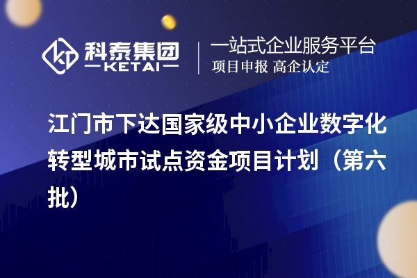 江门市下达国家级中小企业数字化转型城市试点资金项目计划(第六批)