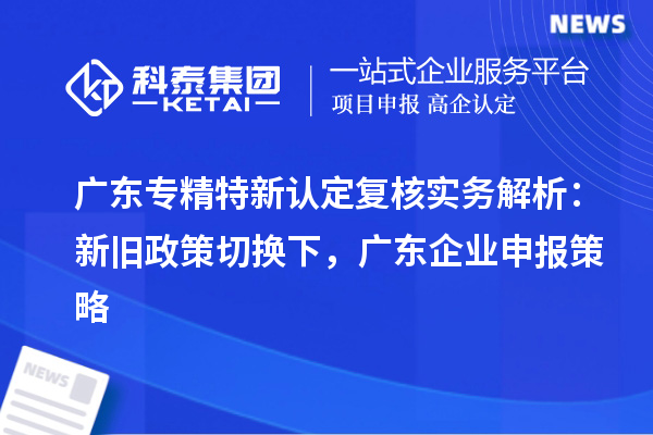 广东专精特新认定复核实务解析:新旧政策切换下,广东企业申报策略