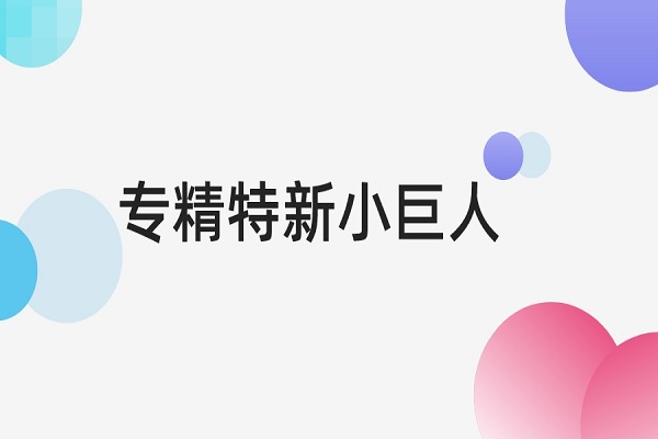 专精特新小巨人认定标准是什么，专精特新小巨人申报条件