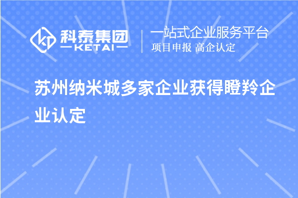 苏州纳米城多家企业获得<a href=//jiuyouhuitech.com/fuwu/dengling.html target=_blank class=infotextkey>瞪羚企业认定</a>