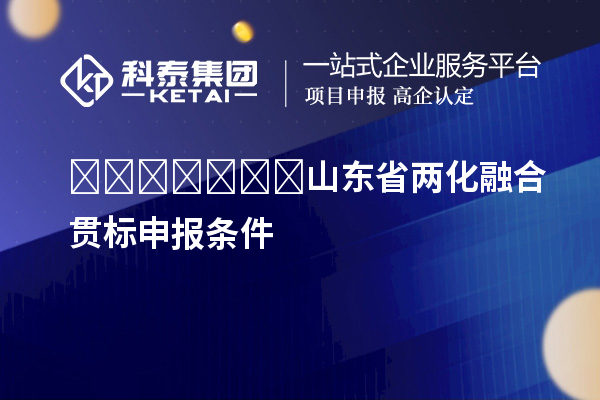 ​​​​​​​山东省两化融合贯标申报条件