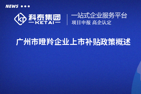 广州市瞪羚企业上市补贴政策概述