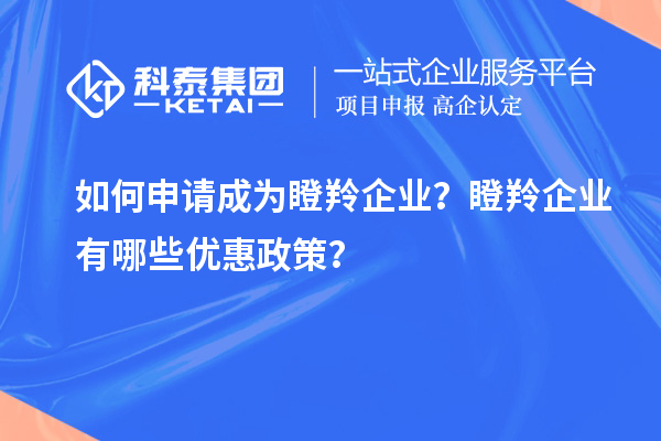 如何申请成为瞪羚企业？瞪羚企业有哪些优惠政策？