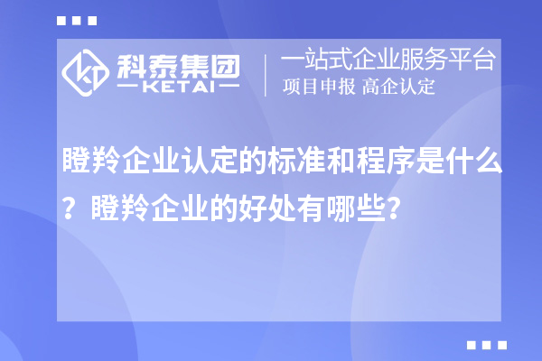 瞪羚企业认定的标准和程序是什么？瞪羚企业的好处有哪些？