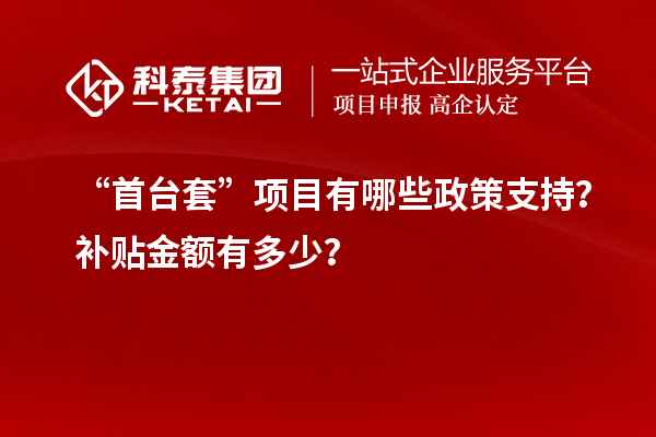 “首台套”项目有哪些政策支持？补贴金额有多少？
