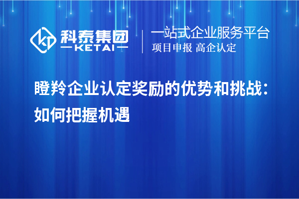 瞪羚企业认定奖励的优势和挑战：如何把握机遇