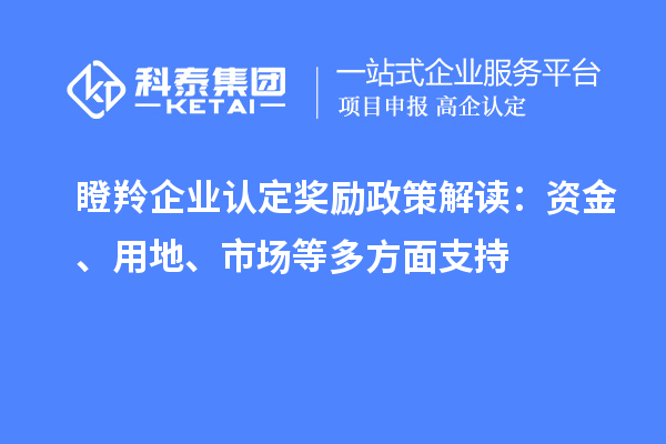 瞪羚企业认定奖励政策解读：资金、用地、市场等多方面支持