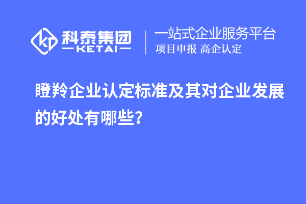 <a href=//jiuyouhuitech.com/fuwu/dengling.html target=_blank class=infotextkey>瞪羚企业认定</a>标准及其对企业发展的好处有哪些？