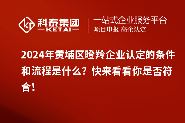 2024年黄埔区瞪羚企业认定的条件和流程是什么？快来看看你是否符合！