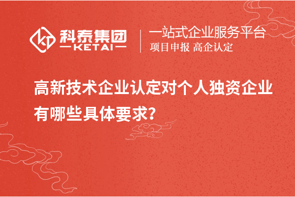 高新技术企业认定对个人独资企业有哪些具体要求？