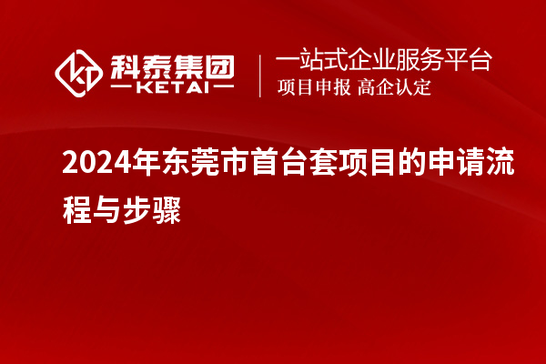 2024年东莞市首台套项目的申请流程与步骤