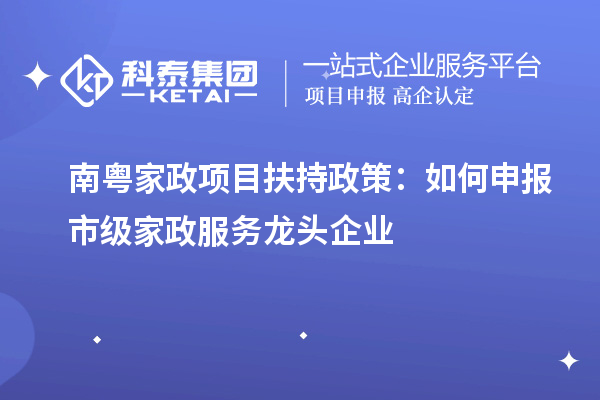 南粤家政项目扶持政策：如何申报市级家政服务龙头企业