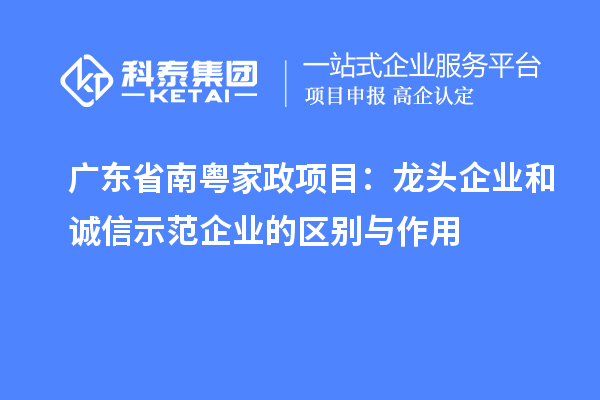 广东省南粤家政项目：龙头企业和诚信示范企业的区别与作用