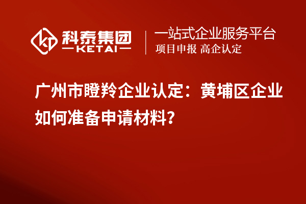广州市瞪羚企业认定：黄埔区企业如何准备申请材料？