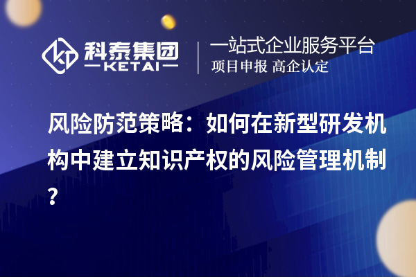 风险防范策略：如何在新型研发机构中建立知识产权的风险管理机制？